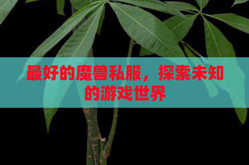 最好的魔兽私服，探索未知的游戏世界
