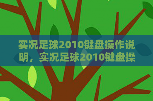 实况足球2010键盘操作说明，实况足球2010键盘操作指南，掌握技巧，提升游戏水平