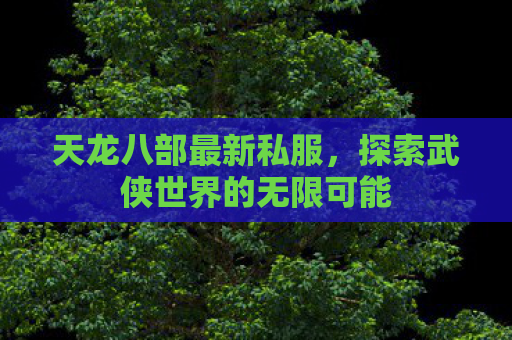 天龙八部最新私服，探索武侠世界的无限可能