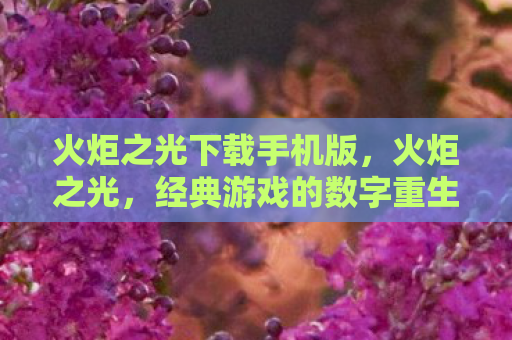 火炬之光下载手机版，火炬之光，经典游戏的数字重生