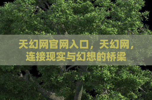 天幻网官网入口，天幻网，连接现实与幻想的桥梁