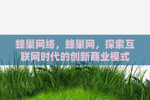 蜂巢网络，蜂巢网，探索互联网时代的创新商业模式
