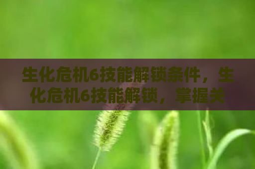 生化危机6技能解锁条件，生化危机6技能解锁，掌握关键技能，提升生存能力