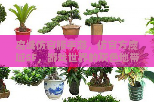 魔域仿官服手游，仿官方魔域SF，游戏世界的灰色地带