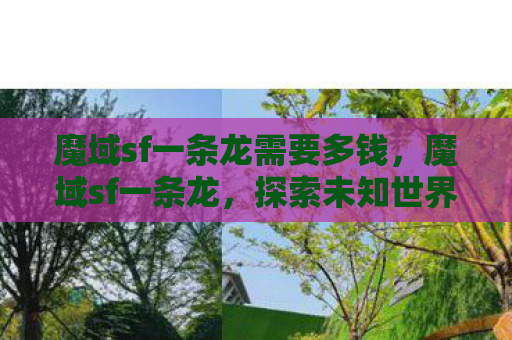 魔域sf一条龙需要多钱，魔域sf一条龙，探索未知世界的奇幻之旅