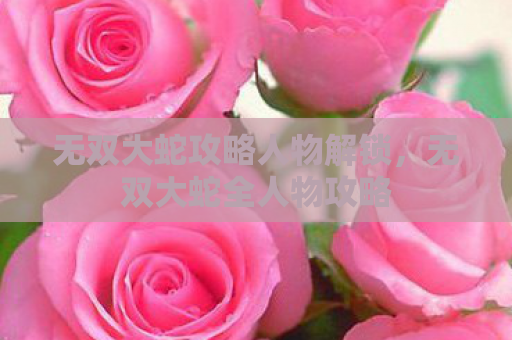 无双大蛇攻略人物解锁，无双大蛇全人物攻略