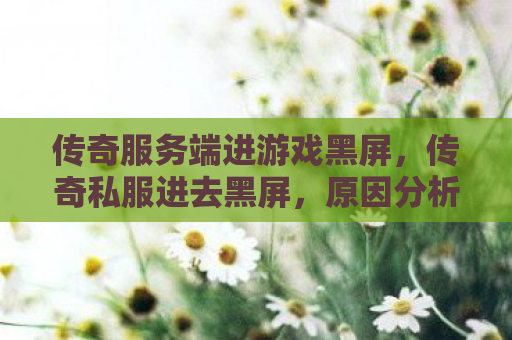 传奇服务端进游戏黑屏，传奇私服进去黑屏，原因分析与解决方案