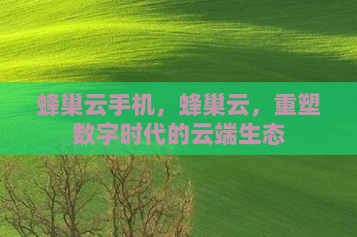 蜂巢云手机，蜂巢云，重塑数字时代的云端生态