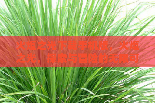 火炬之光下载手机版，火炬之光，探索与冒险的无限可能