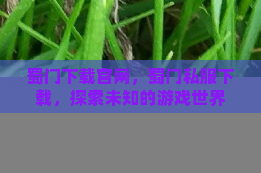 蜀门下载官网，蜀门私服下载，探索未知的游戏世界