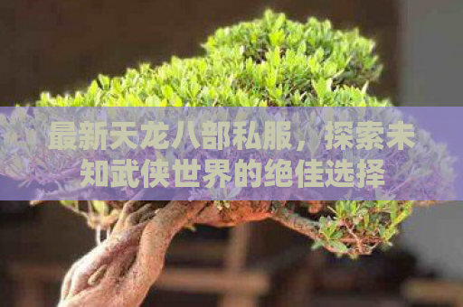 最新天龙八部私服，探索未知武侠世界的绝佳选择