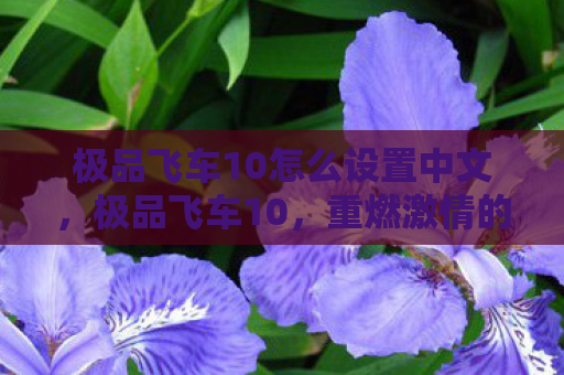 极品飞车10怎么设置中文，极品飞车10，重燃激情的极速之旅