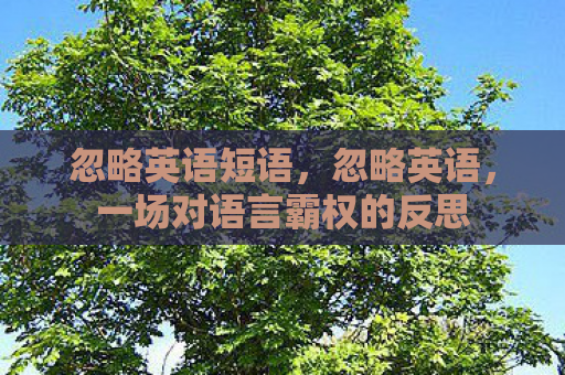 忽略英语短语，忽略英语，一场对语言霸权的反思