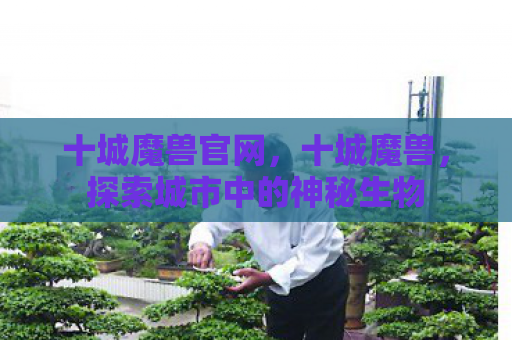 十城魔兽官网，十城魔兽，探索城市中的神秘生物