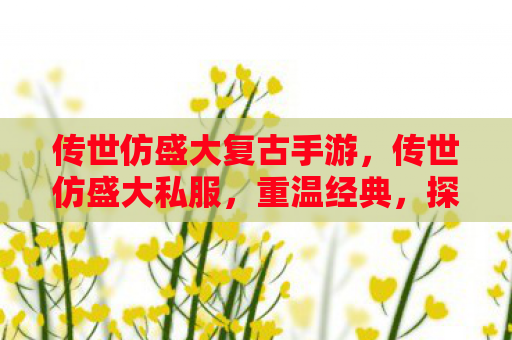 传世仿盛大复古手游，传世仿盛大私服，重温经典，探索未知
