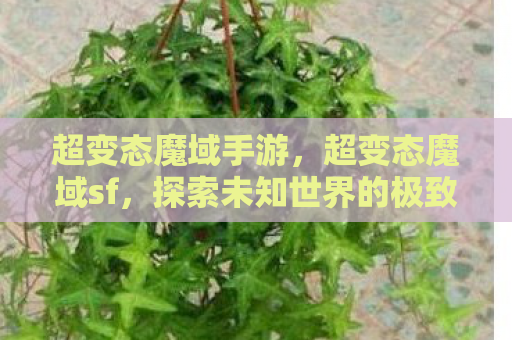 超变态魔域手游，超变态魔域sf，探索未知世界的极致冒险