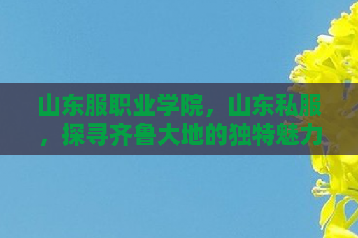 山东服职业学院，山东私服，探寻齐鲁大地的独特魅力