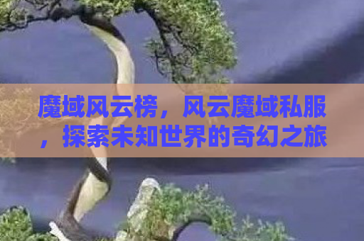 魔域风云榜，风云魔域私服，探索未知世界的奇幻之旅