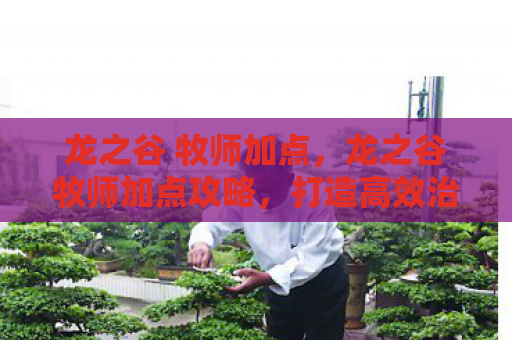 龙之谷 牧师加点，龙之谷牧师加点攻略，打造高效治疗与辅助能力