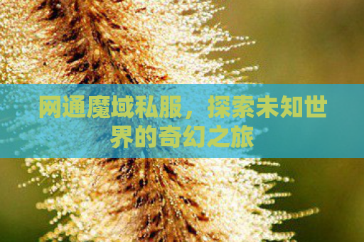 网通魔域私服，探索未知世界的奇幻之旅