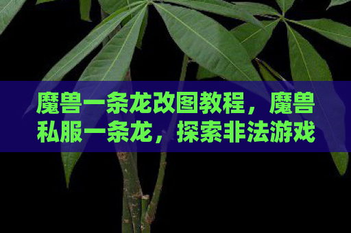 魔兽一条龙改图教程，魔兽私服一条龙，探索非法游戏的灰色地带