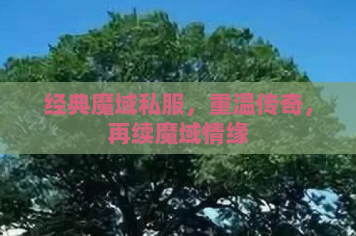 经典魔域私服，重温传奇，再续魔域情缘