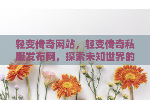 轻变传奇网站，轻变传奇私服发布网，探索未知世界的奇幻之旅