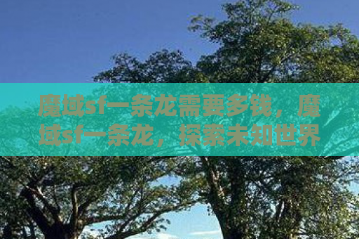 魔域sf一条龙需要多钱，魔域sf一条龙，探索未知世界的奇幻之旅