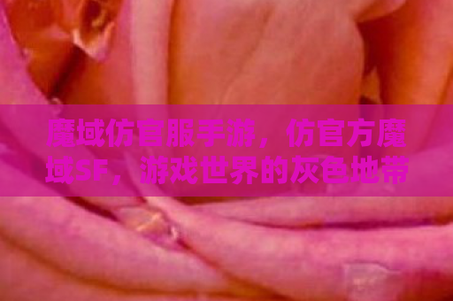 魔域仿官服手游，仿官方魔域SF，游戏世界的灰色地带