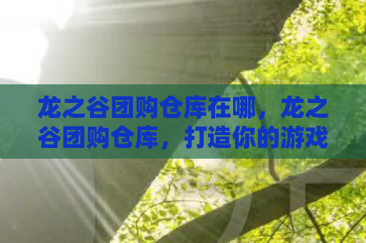龙之谷团购仓库在哪，龙之谷团购仓库，打造你的游戏宝藏库