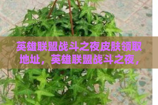 英雄联盟战斗之夜皮肤领取地址，英雄联盟战斗之夜，解锁你的专属皮肤，畅享游戏盛宴！