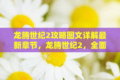 龙腾世纪2攻略图文详解最新章节，龙腾世纪2，全面攻略