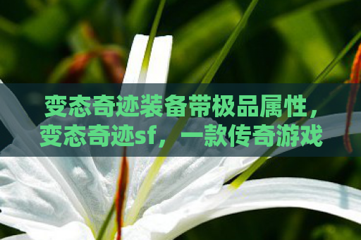 变态奇迹装备带极品属性，变态奇迹sf，一款传奇游戏的另类解读