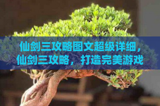 仙剑三攻略图文超级详细，仙剑三攻略，打造完美游戏体验