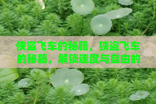 侠盗飞车的秘籍，狭盗飞车的秘籍，解锁速度与自由的终极指南