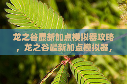 龙之谷最新加点模拟器攻略，龙之谷最新加点模拟器，打造你的专属角色