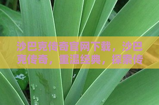 沙巴克传奇官网下载，沙巴克传奇，重温经典，探索传奇世界