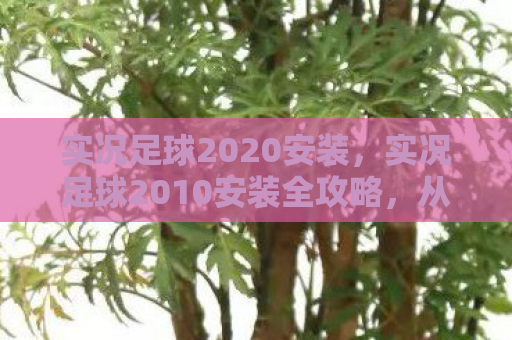 实况足球2020安装，实况足球2010安装全攻略，从下载到运行，一步不漏！