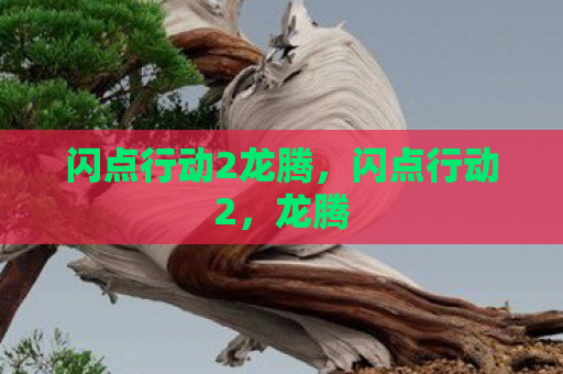 闪点行动2龙腾，闪点行动2，龙腾