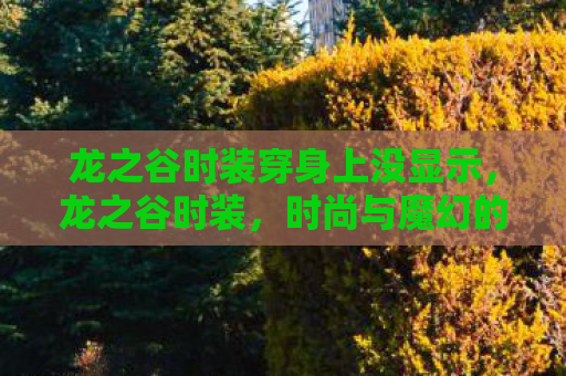 龙之谷时装穿身上没显示，龙之谷时装，时尚与魔幻的完美结合