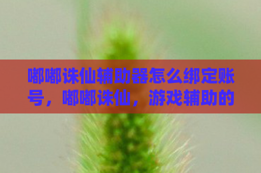 嘟嘟诛仙辅助器怎么绑定账号，嘟嘟诛仙，游戏辅助的利与弊