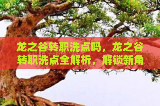 龙之谷转职洗点吗，龙之谷转职洗点全解析，解锁新角色，重塑职业之路