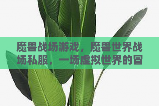 魔兽战场游戏，魔兽世界战场私服，一场虚拟世界的冒险之旅