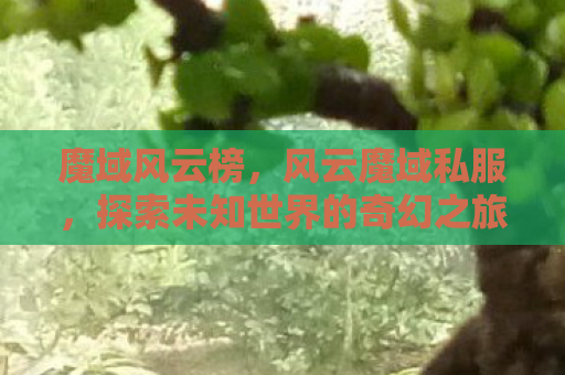 魔域风云榜，风云魔域私服，探索未知世界的奇幻之旅