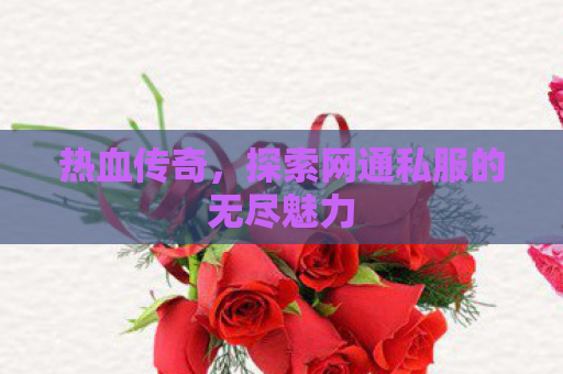 热血传奇，探索网通私服的无尽魅力