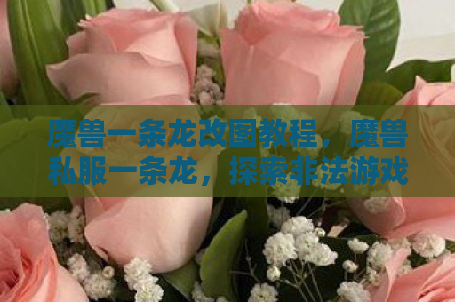 魔兽一条龙改图教程，魔兽私服一条龙，探索非法游戏的灰色地带