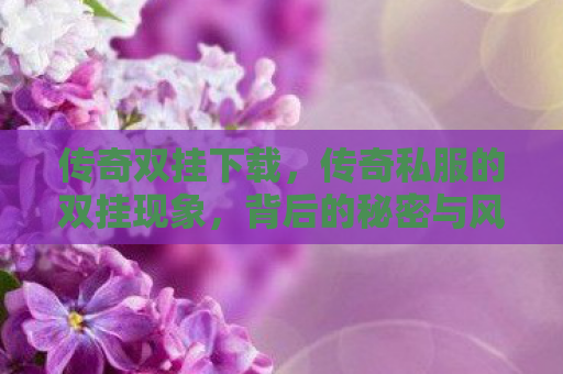 传奇双挂下载，传奇私服的双挂现象，背后的秘密与风险