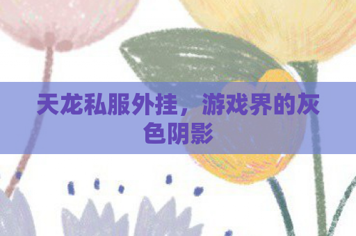 天龙私服外挂，游戏界的灰色阴影