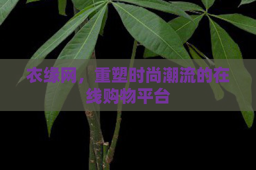 衣缘网，重塑时尚潮流的在线购物平台