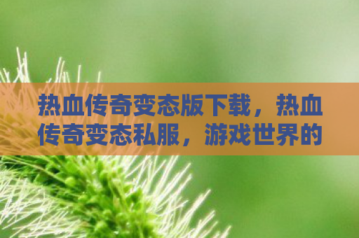 热血传奇变态版下载，热血传奇变态私服，游戏世界的双刃剑